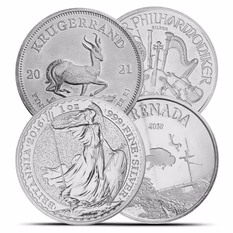 1 oz Silver Coin (Varied Condition, Any Mint)