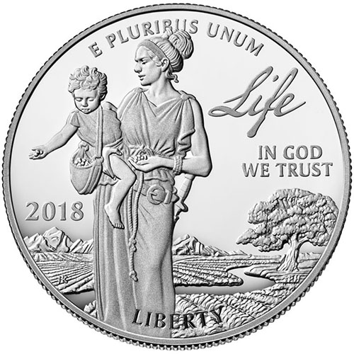 2018-W 1 oz Proof American Platinum Eagle Coin (Box + CoA)
