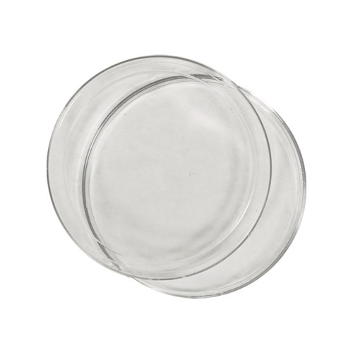 26 mm Air-Tite Coin Capsule Direct Fit