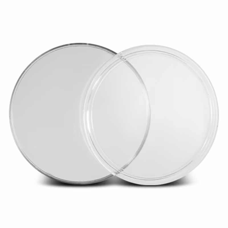 40.6mm CoinSafe Coin Capsule