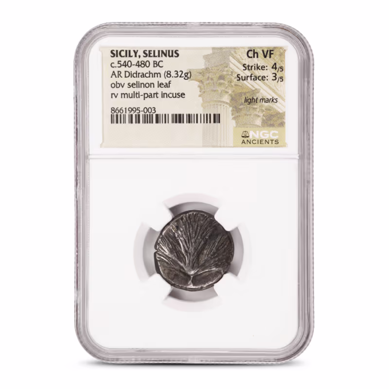 Sicily, Selinus c.540-480 BC AR Didrachm NGC Ch VF